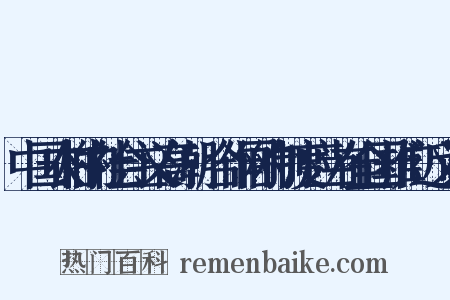 中国农村的社会主义高潮·合作网的制度应当在全国推广近义词是什么意思的图片